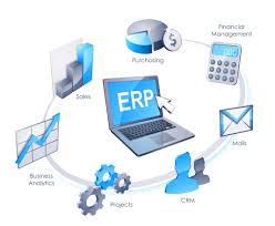 erp1